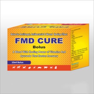 FMD CURE BOLUS