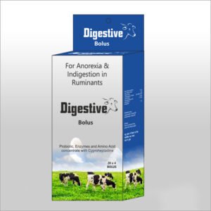 Digestie Bolus